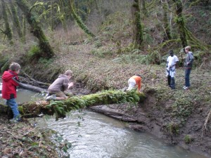 DSCN4279_12249 DSCN4279_12249