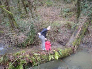 DSCN4284_12254 DSCN4284_12254