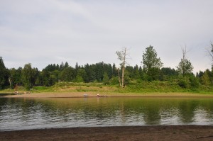 DSC_1611