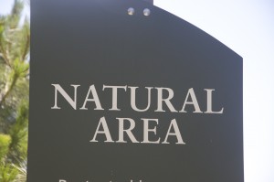 DSC_2002