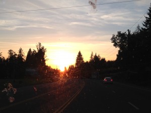 IMG_9567