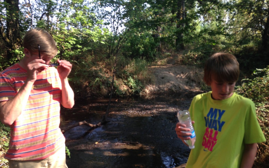 3-Creeks Natural Area – No. 7 Outdoor Adventure with Kids Summer 2015